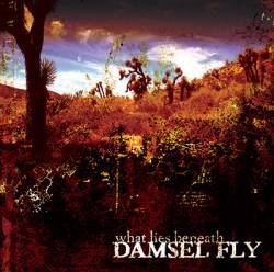Damsel Fly : What Lies Beneath